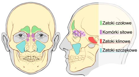 Problematyczne zatoki