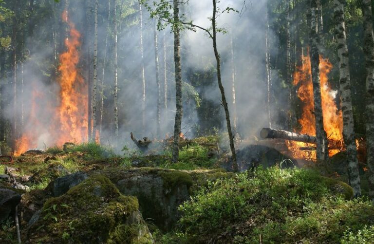 Stop wyjaławianiu gleby