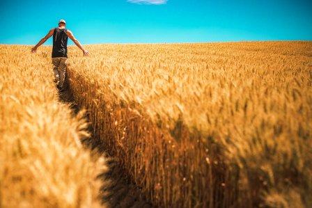 Bezpieczeństwo żywnościowe nie jest zagrożone