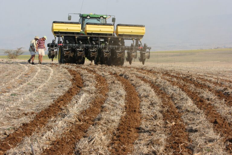 Strip-till kontra orka?