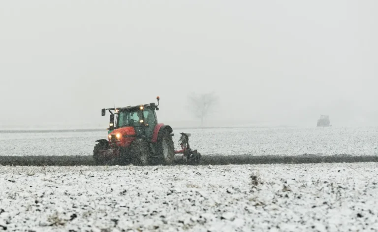 Mniej rutyny i zdrowy rozsądek