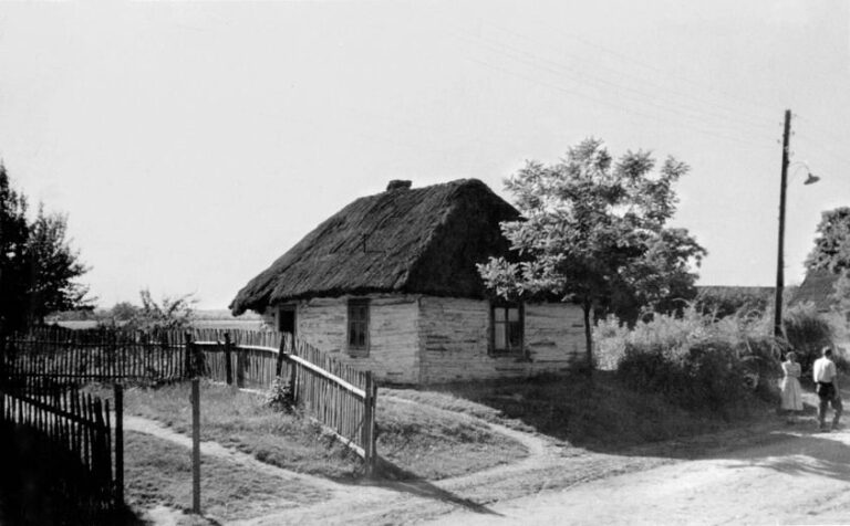 Bezcenne fotografie