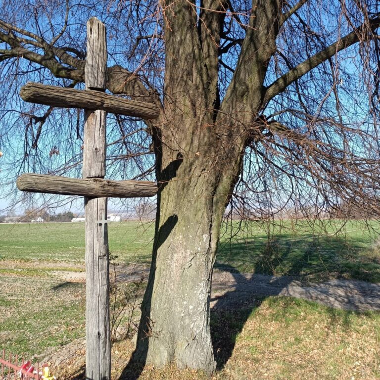 Zapomniany św. Roch