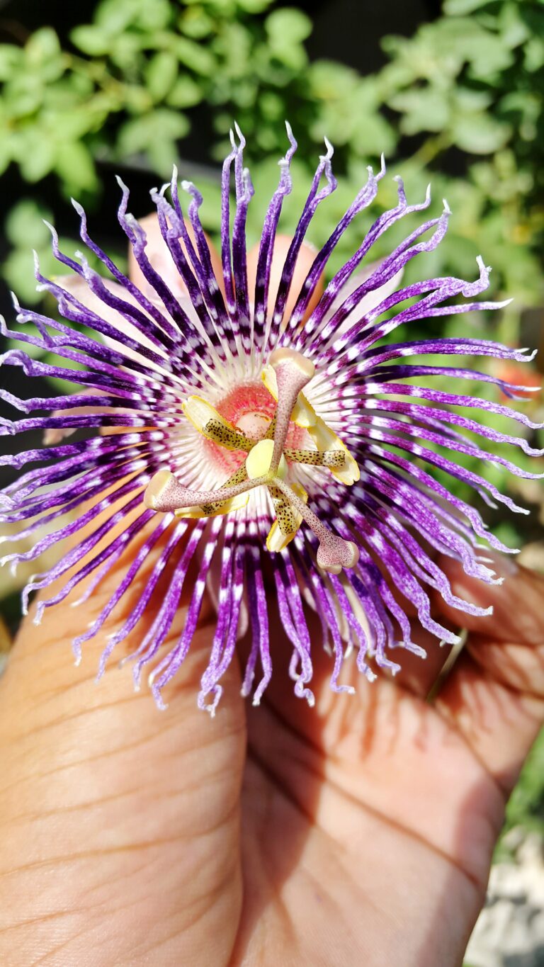 Na sen i huśtawkę ciśnień