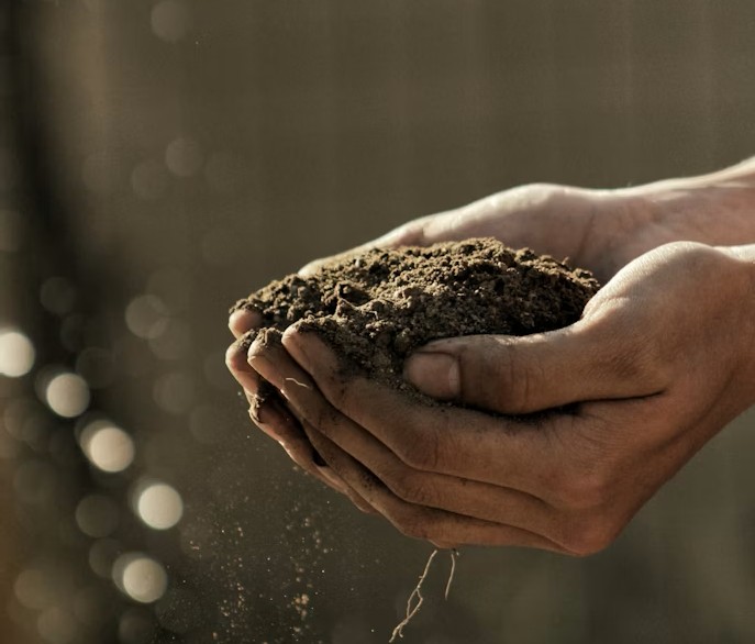 Dlaczego potrzebujemy ubogich?