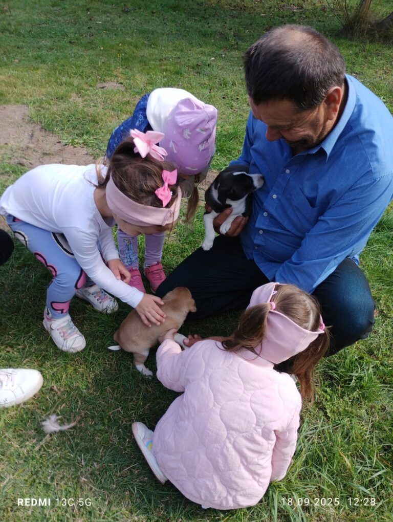 Sposób na gospodarstwo